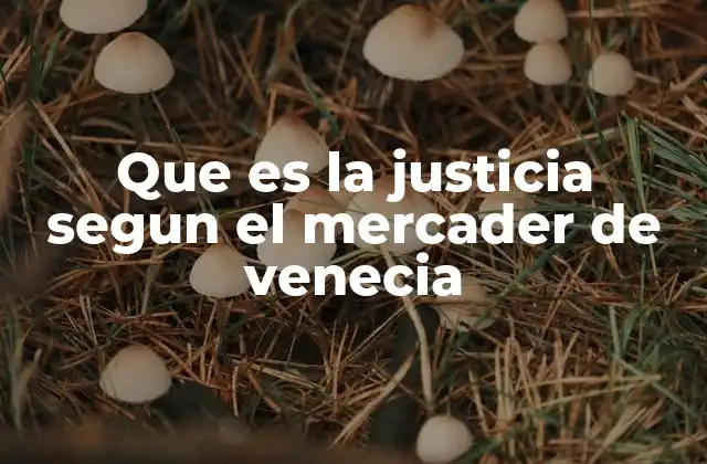 Que es la Justicia Segun el Mercader de Venecia
