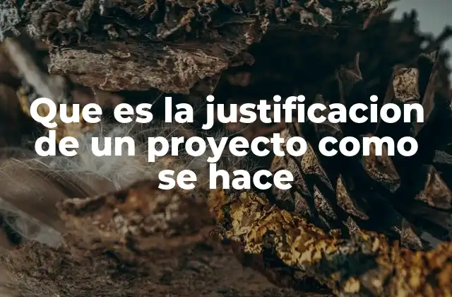 Que es la Justificacion de un Proyecto como Se Hace