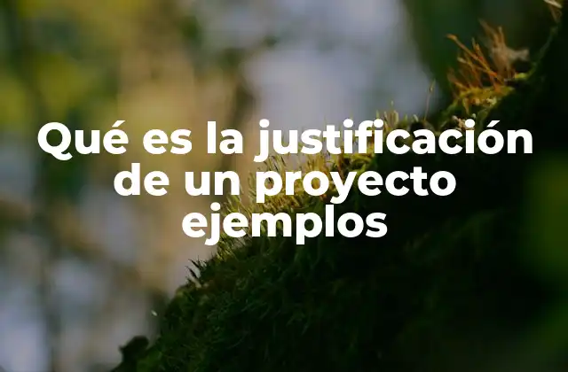 Qué es la Justificación de un Proyecto Ejemplos