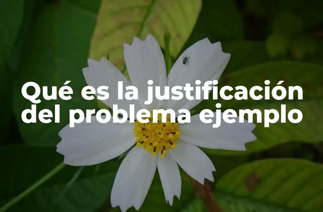 Qué es la Justificación Del Problema Ejemplo