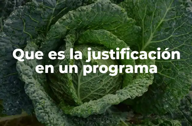 Que es la Justificación en un Programa