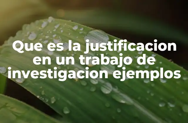 Que es la Justificacion en un Trabajo de Investigacion Ejemplos
