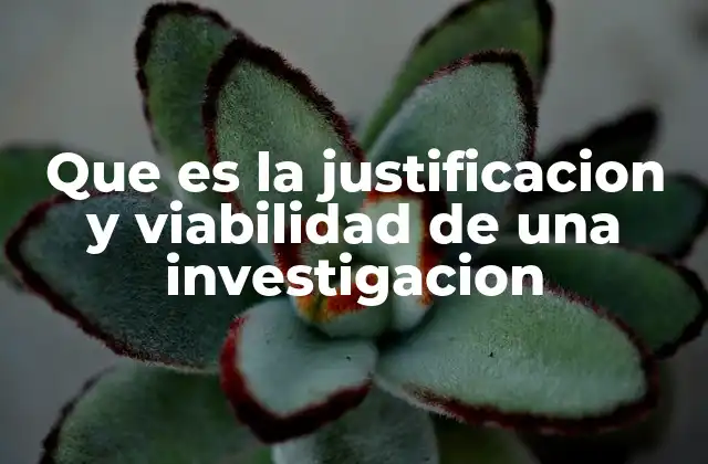 Que es la Justificacion y Viabilidad de una Investigacion