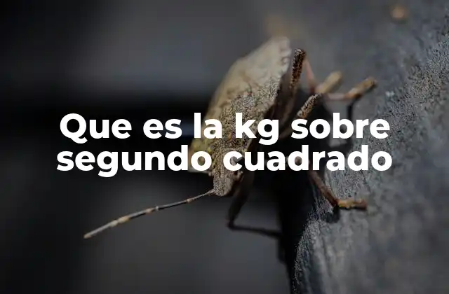 Que es la Kg sobre Segundo Cuadrado 2 La importancia de las unidades derivadas en física