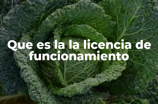 Que es la la Licencia de Funcionamiento