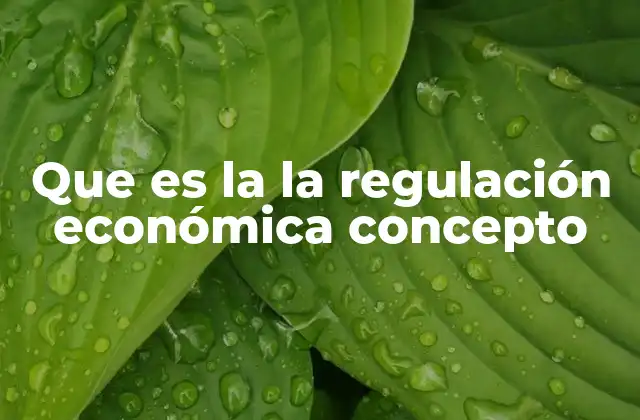 Que es la la Regulación Económica Concepto