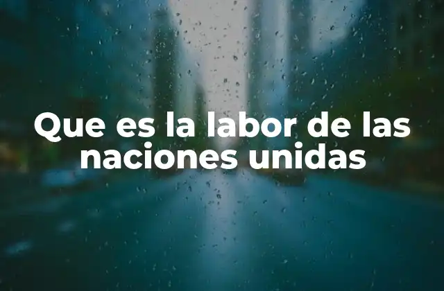 Que es la Labor de las Naciones Unidas