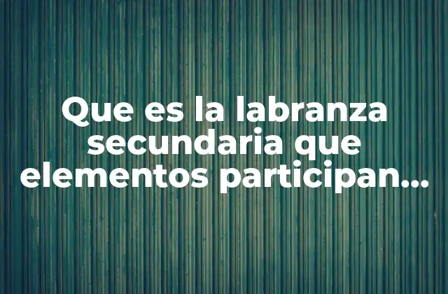 Que es la Labranza Secundaria que Elementos Participan en Ella