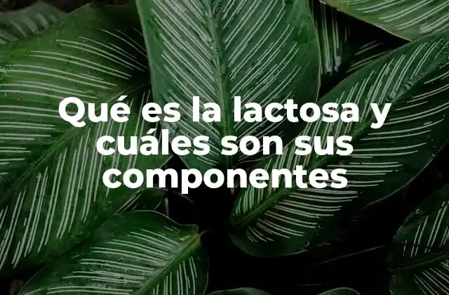 La lactosa en la composición de la leche