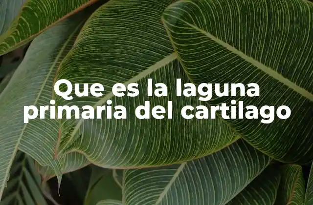 Que es la Laguna Primaria Del Cartilago 2 El papel del cartílago en el desarrollo óseo