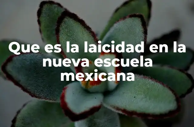 Que es la Laicidad en la Nueva Escuela Mexicana