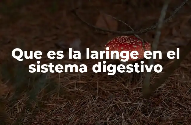 Que es la Laringe en el Sistema Digestivo
