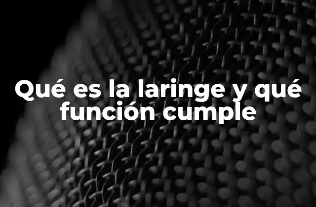 Qué es la Laringe y Qué Función Cumple