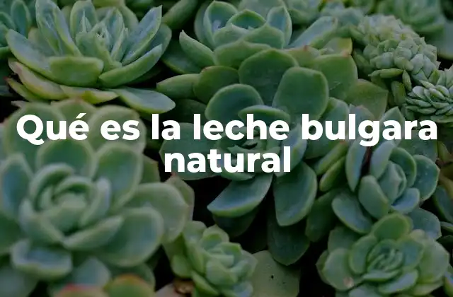 Qué es la Leche Bulgara Natural