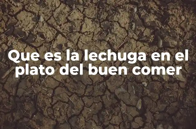 Que es la Lechuga en el Plato Del Buen Comer