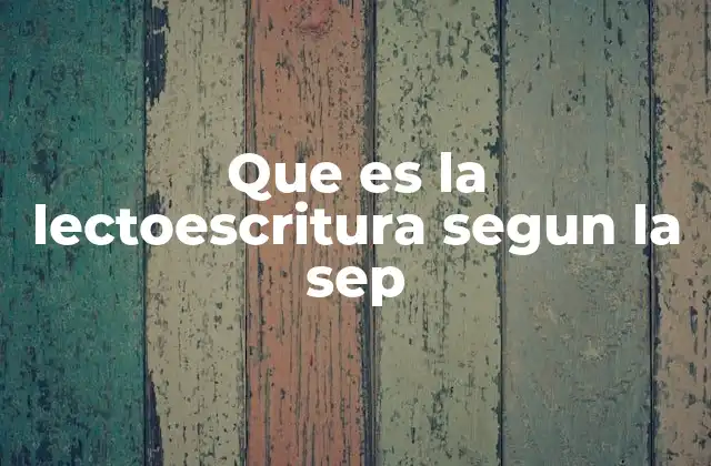 Que es la Lectoescritura Segun la Sep