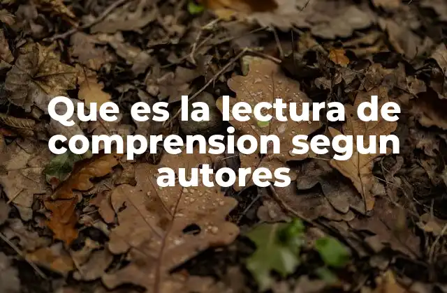 Que es la Lectura de Comprension Segun Autores