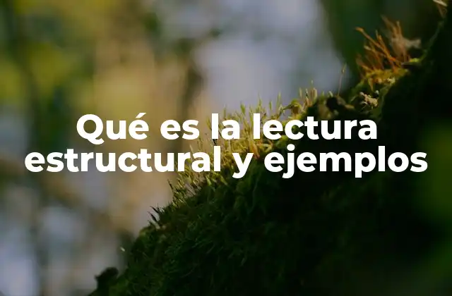 Qué es la Lectura Estructural y Ejemplos