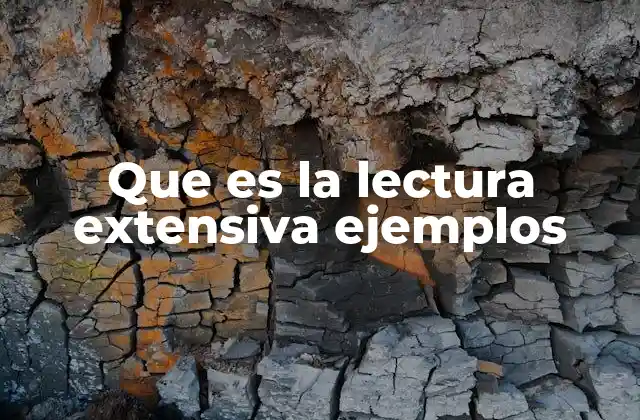 Que es la Lectura Extensiva Ejemplos