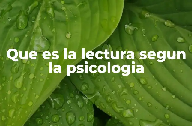 Que es la Lectura Segun la Psicologia