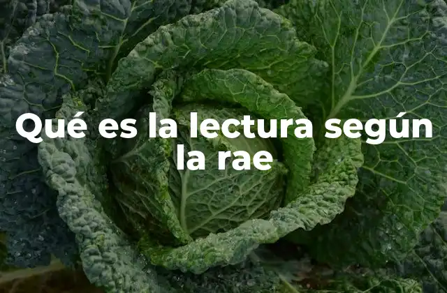 Qué es la Lectura según la Rae