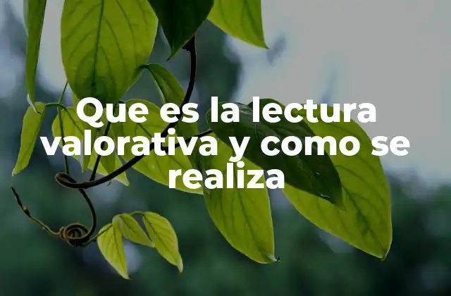 Que es la Lectura Valorativa y como Se Realiza