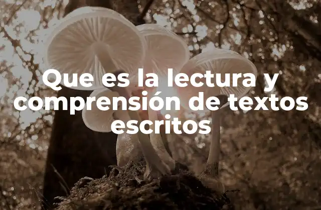Que es la Lectura y Comprensión de Textos Escritos