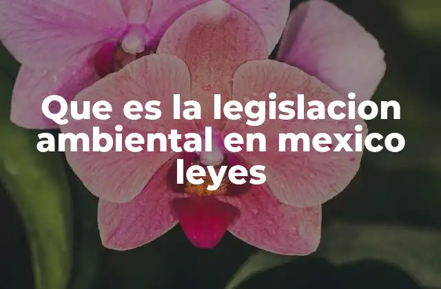 El papel de la legislación ambiental en la protección del entorno