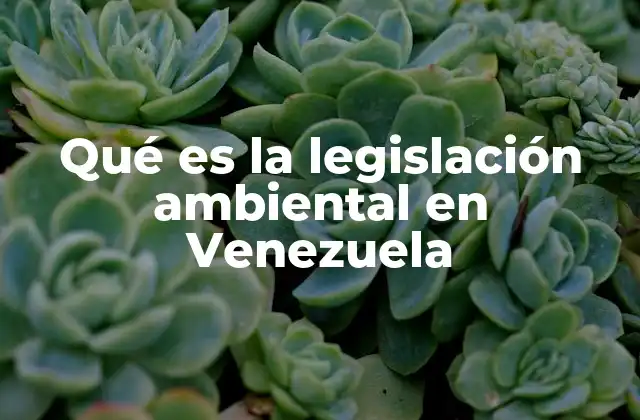 Qué es la Legislación Ambiental en Venezuela