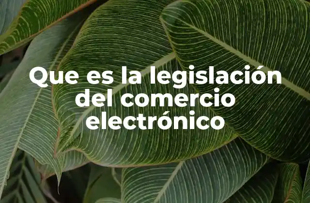 Que es la Legislación Del Comercio Electrónico 2 La regulación del comercio digital y su impacto en la economía moderna