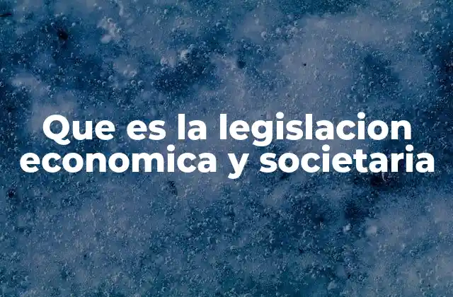 Que es la Legislacion Economica y Societaria