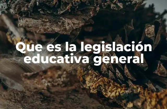 Que es la Legislación Educativa General