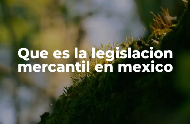Que es la Legislacion Mercantil en Mexico