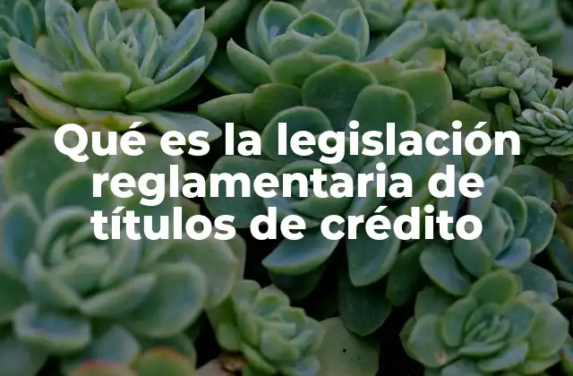Qué es la Legislación Reglamentaria de Títulos de Crédito
