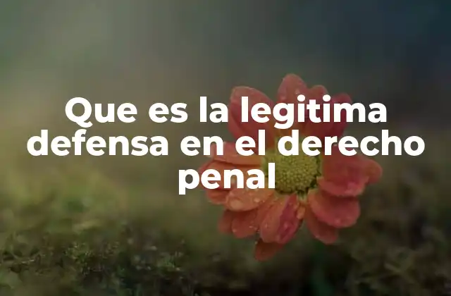 Que es la Legitima Defensa en el Derecho Penal 2 La protección frente a amenazas inminentes