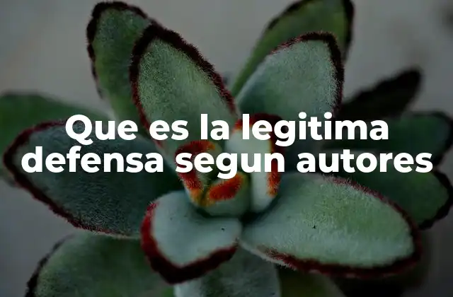 Que es la Legitima Defensa Segun Autores