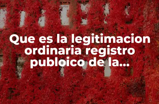 Que es la Legitimacion Ordinaria Registro Publoico de la Propiedad