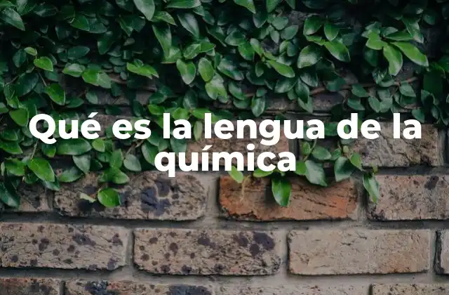 Qué es la Lengua de la Química