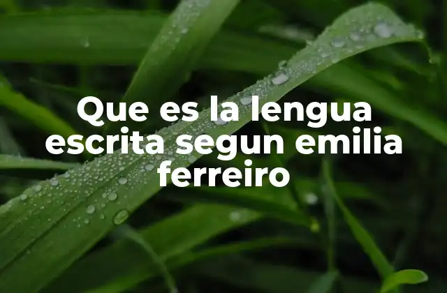 Que es la Lengua Escrita Segun Emilia Ferreiro