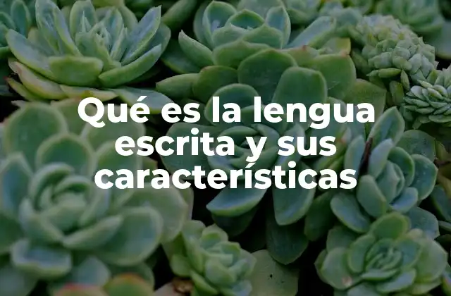 Qué es la Lengua Escrita y Sus Características