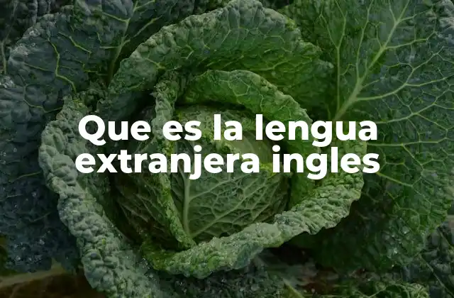 Que es la Lengua Extranjera Ingles 2 El papel del inglés como herramienta de integración social y cultural