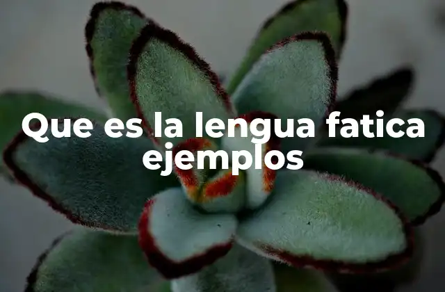La importancia de la lengua fática en la interacción social