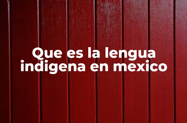 Que es la Lengua Indigena en Mexico