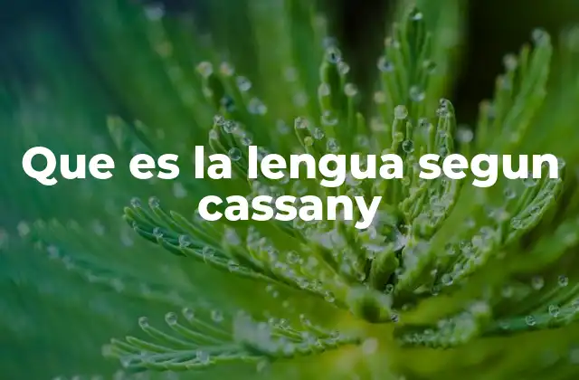 Que es la Lengua Segun Cassany