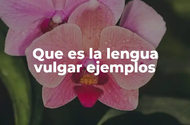 Que es la Lengua Vulgar Ejemplos