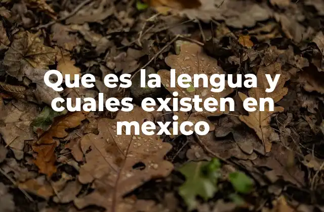 Que es la Lengua y Cuales Existen en Mexico