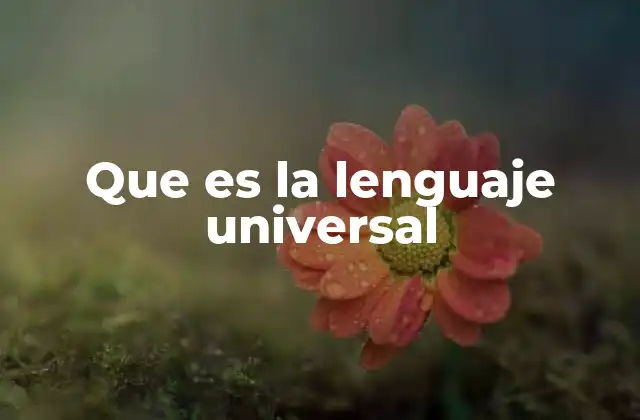 La importancia del lenguaje universal en la globalización