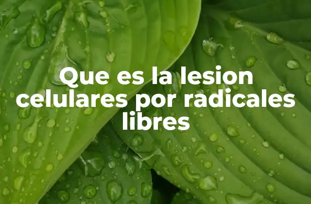 El impacto del estrés oxidativo en la salud