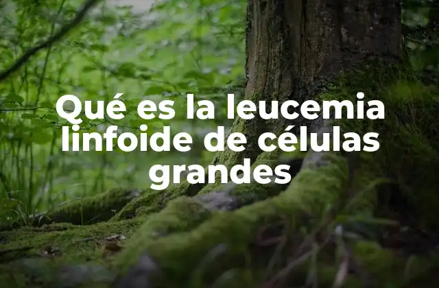Qué es la Leucemia Linfoide de Células Grandes