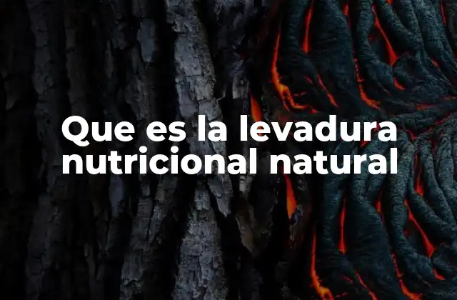 Que es la Levadura Nutricional Natural